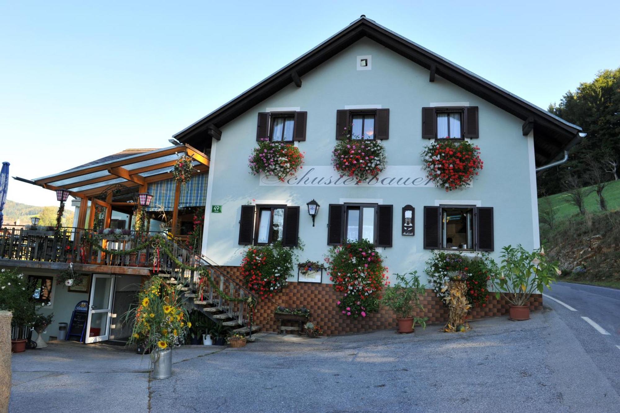 ריין Gasthaus - Gaestehaus Schusterbauer מראה חיצוני תמונה